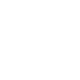 Department of Parks + Preservation