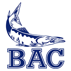 Burlingame Aquatic Club